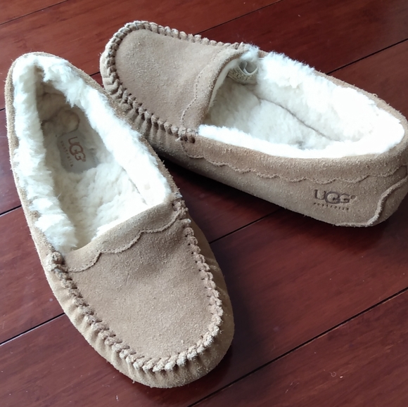 UGG woman's slippers - Picture 4 of 5